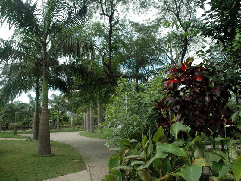 Parque Ecológico Mamey